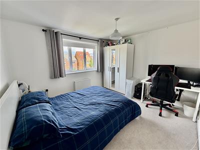 Picture 16